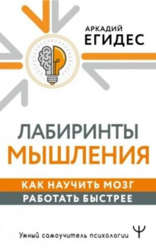 Как научить мозг работать быстрее. Лабиринты мышления и памяти