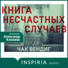 Книга несчастных случаев