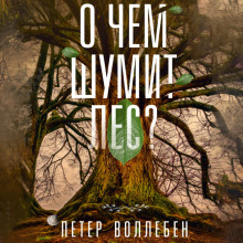 О чём шумит лес?